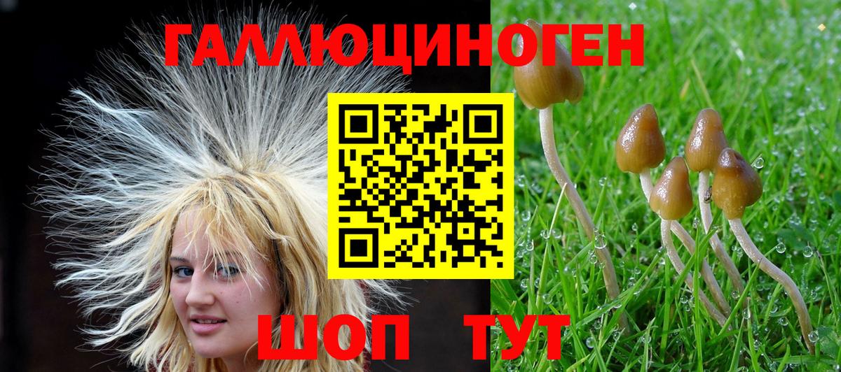 Галлюциногенные грибы мухоморы Топки